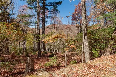 Lot 65 Buckberry Drive Sapphire NC 28774