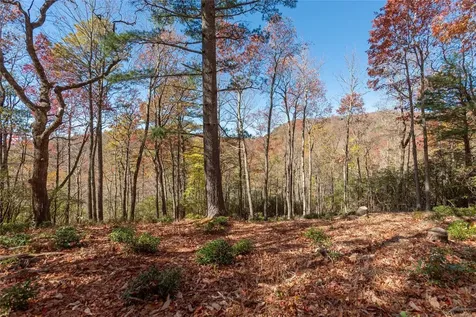 Lot 65 Buckberry Drive Sapphire NC 28774