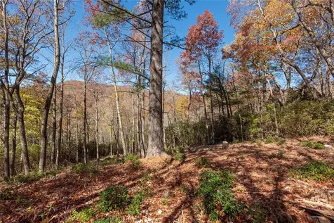 Lot 65 Buckberry Drive Sapphire NC 28774