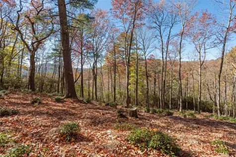 Lot 65 Buckberry Drive Sapphire NC 28774