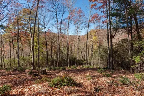 Lot 65 Buckberry Drive Sapphire NC 28774