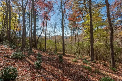 Lot 65 Buckberry Drive Sapphire NC 28774