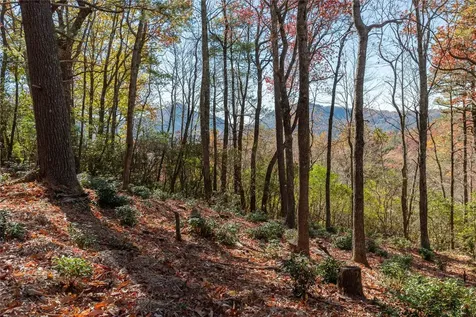 Lot 65 Buckberry Drive Sapphire NC 28774