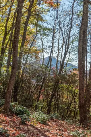 Lot 65 Buckberry Drive Sapphire NC 28774