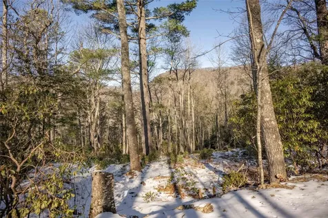 Lot 65 Buckberry Drive Sapphire NC 28774