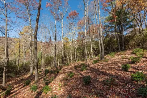 Lot 65 Buckberry Drive Sapphire NC 28774