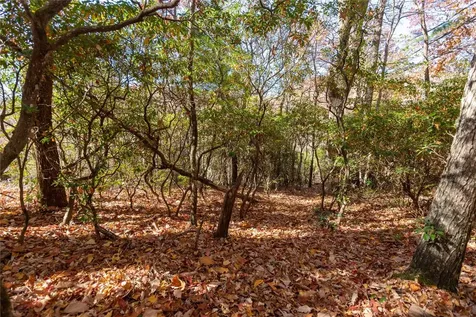 Lot 65 Buckberry Drive Sapphire NC 28774