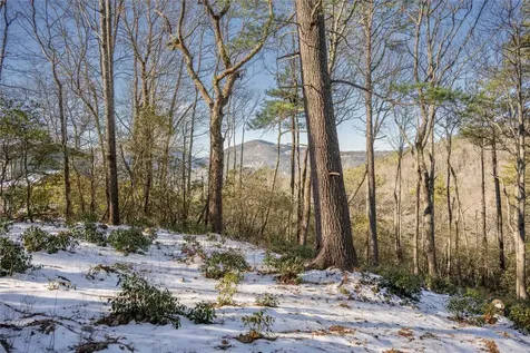 Lot 65 Buckberry Drive Sapphire NC 28774