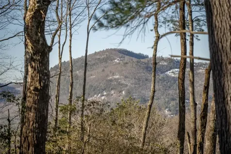 Lot 65 Buckberry Drive Sapphire NC 28774