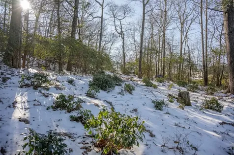 Lot 65 Buckberry Drive Sapphire NC 28774