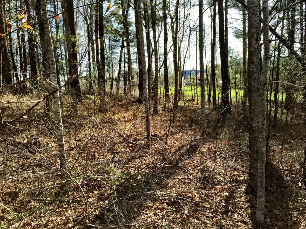 Lt 37 Lilium Lane Cullowhee NC 28723