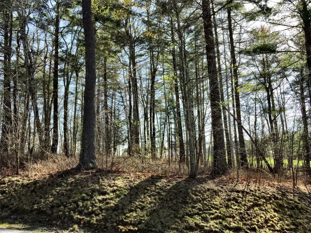 Lt 37 Lilium Lane Cullowhee NC 28723