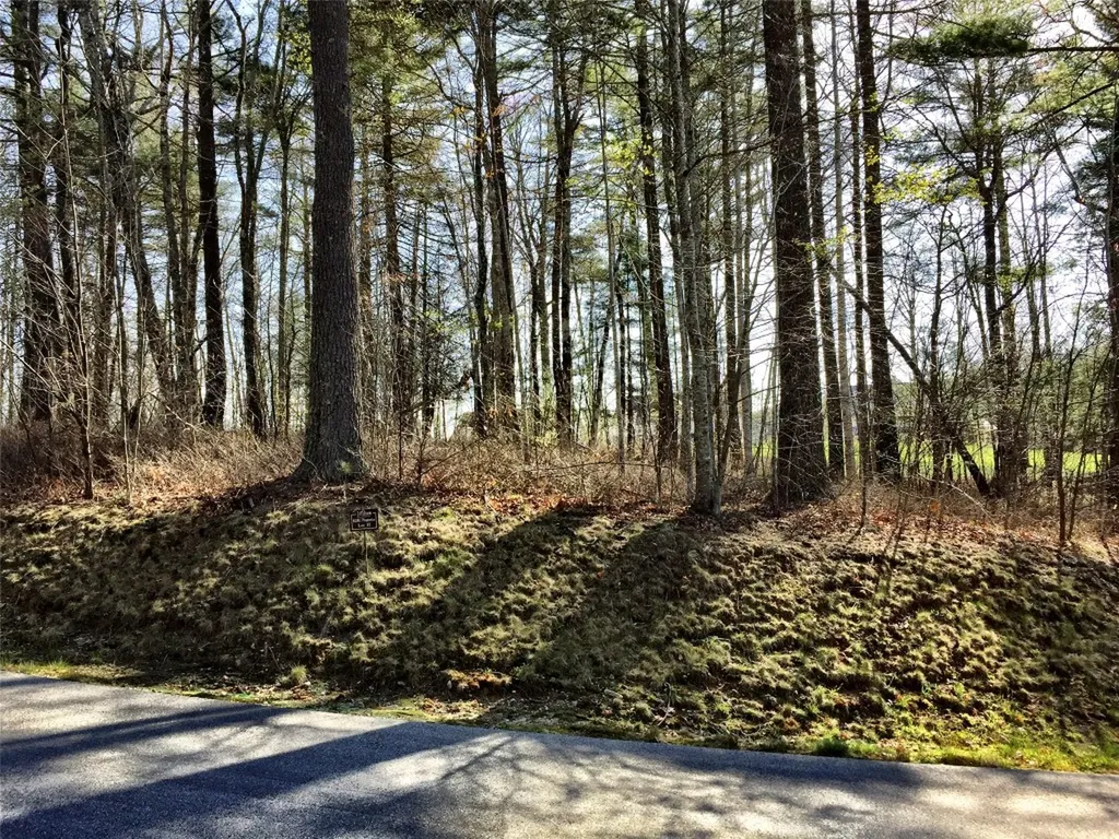 Lt 37 Lilium Lane Cullowhee NC 28723