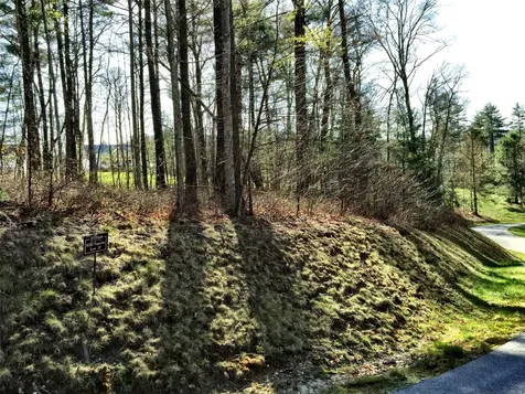 Lt 37 Lilium Lane Cullowhee NC 28723