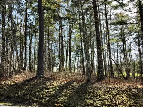 Lt 37 Lilium Lane Cullowhee NC 28723