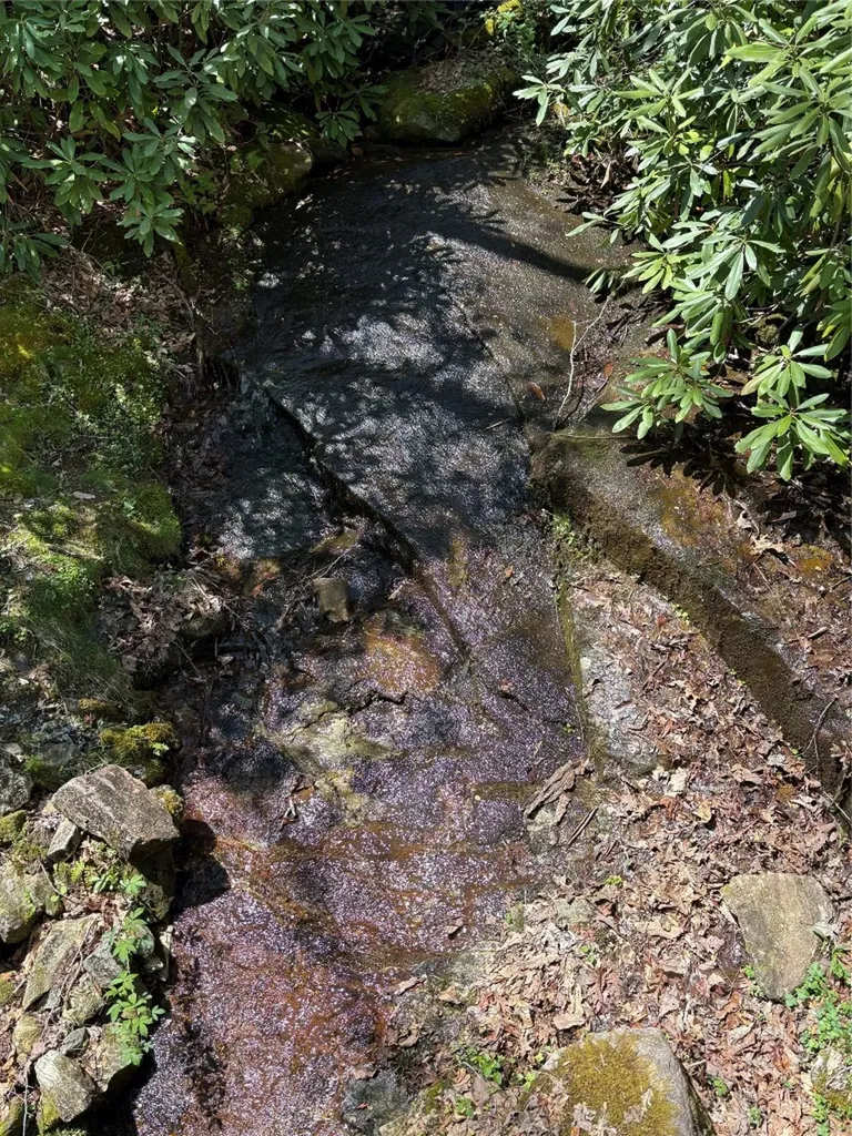 199 Springhead Trail Cullowhee NC 28723