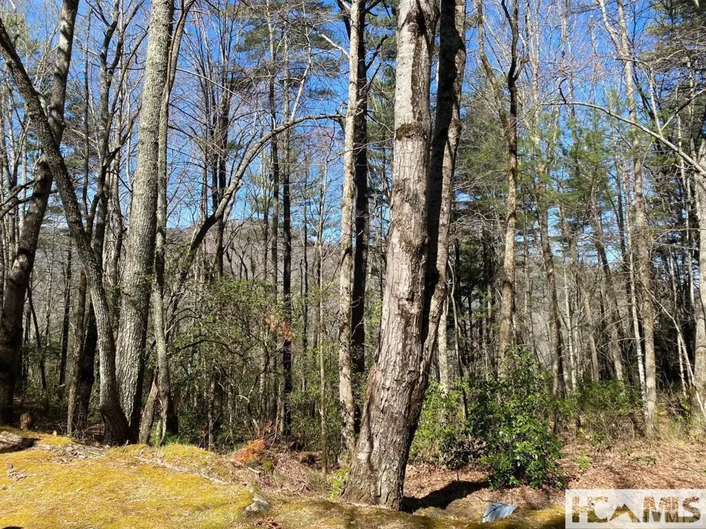 Tbd Highlands Gate Drive Highlands NC 28741