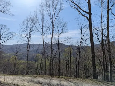 68 Parachute Ridge Cullowhee NC 28736