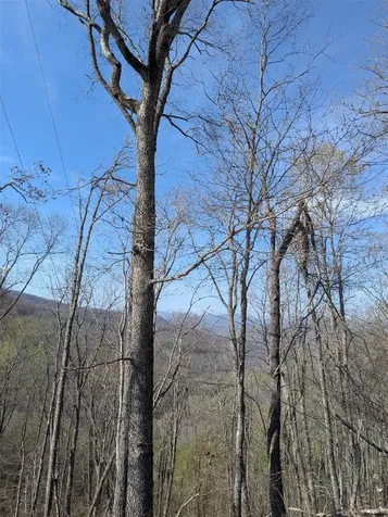 68 Parachute Ridge Cullowhee NC 28736