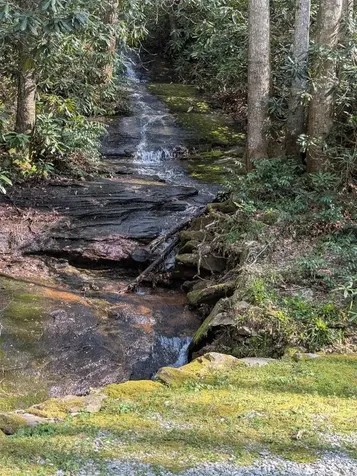 68 Parachute Ridge Cullowhee NC 28736