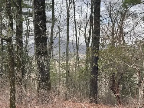 Lot 21 SE Ridge Road Cashiers NC 28717