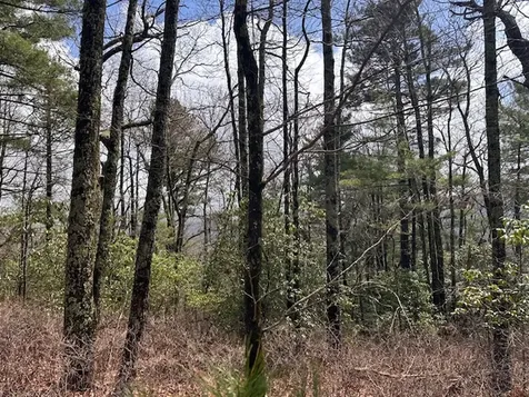 Lot 21 SE Ridge Road Cashiers NC 28717