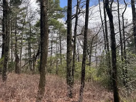 Lot 21 SE Ridge Road Cashiers NC 28717