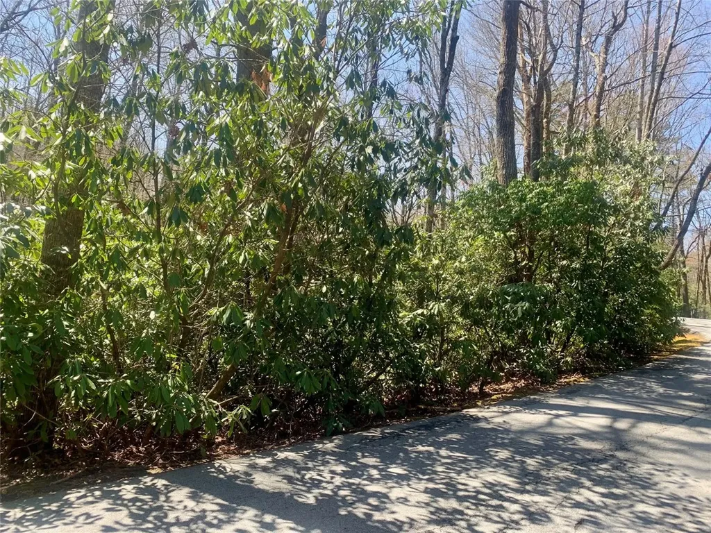 Tbd Indian Lake Road Lake Toxaway NC 28747