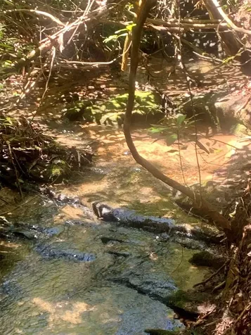 Tbd Indian Lake Road Lake Toxaway NC 28747