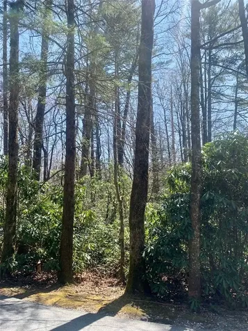 Tbd Indian Lake Road Lake Toxaway NC 28747