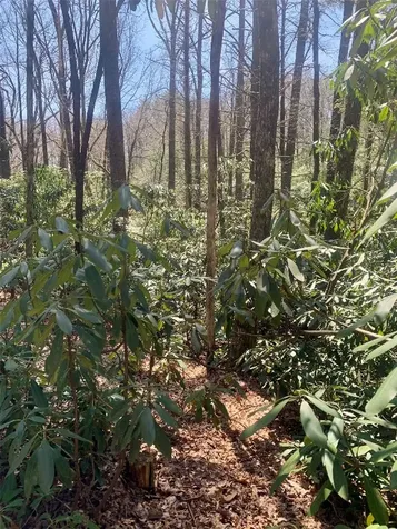 Tbd Indian Lake Road Lake Toxaway NC 28747