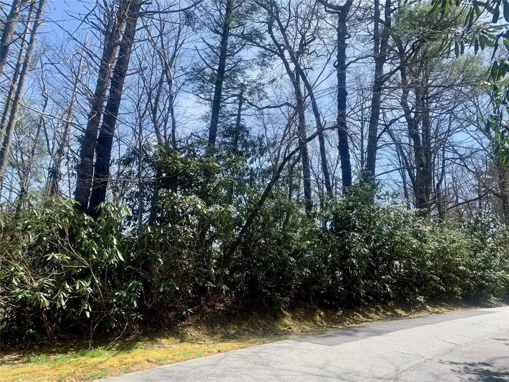54 Hickory Drive Sapphire NC 28774