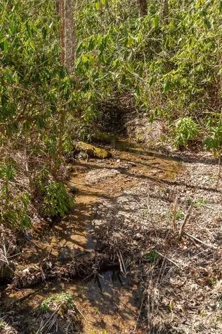 0 Bridgestone Drive Glenville NC 28736