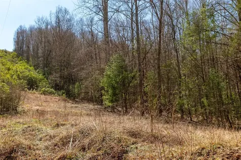 0 Bridgestone Drive Glenville NC 28736