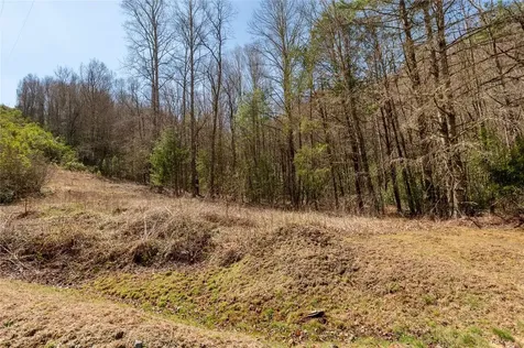 0 Bridgestone Drive Glenville NC 28736