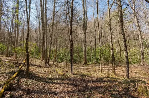 0 Bridgestone Drive Glenville NC 28736