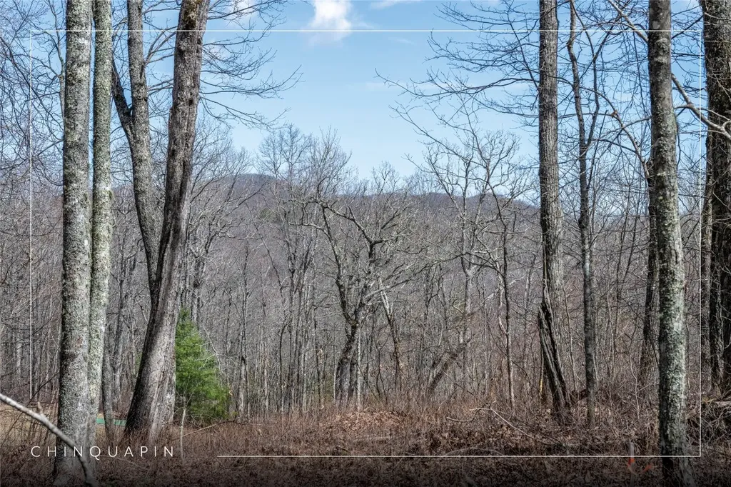 63 New Settler's Way Glenville NC 28736