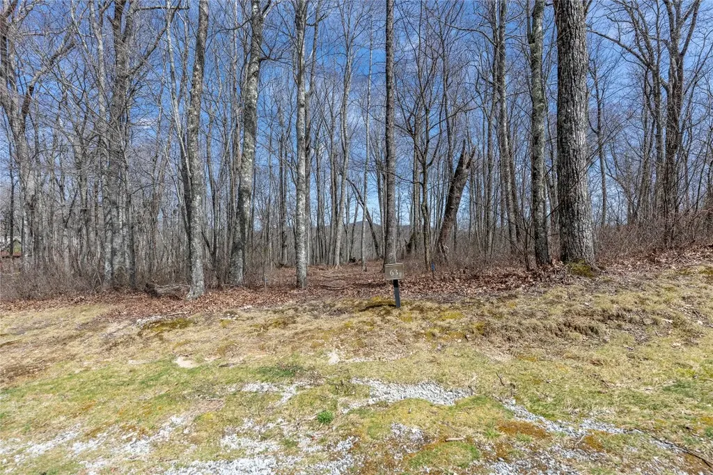 63 New Settler's Way Glenville NC 28736