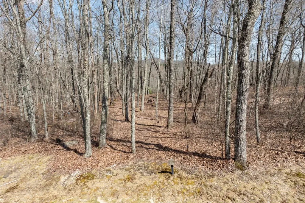 63 New Settler's Way Glenville NC 28736