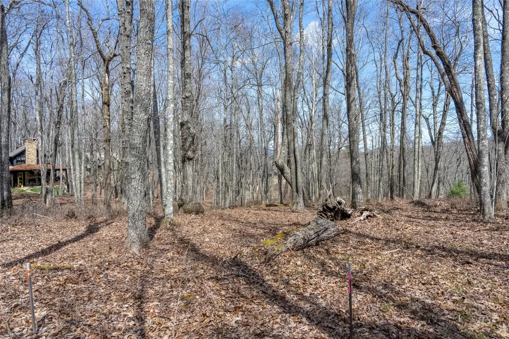 63 New Settler's Way Glenville NC 28736