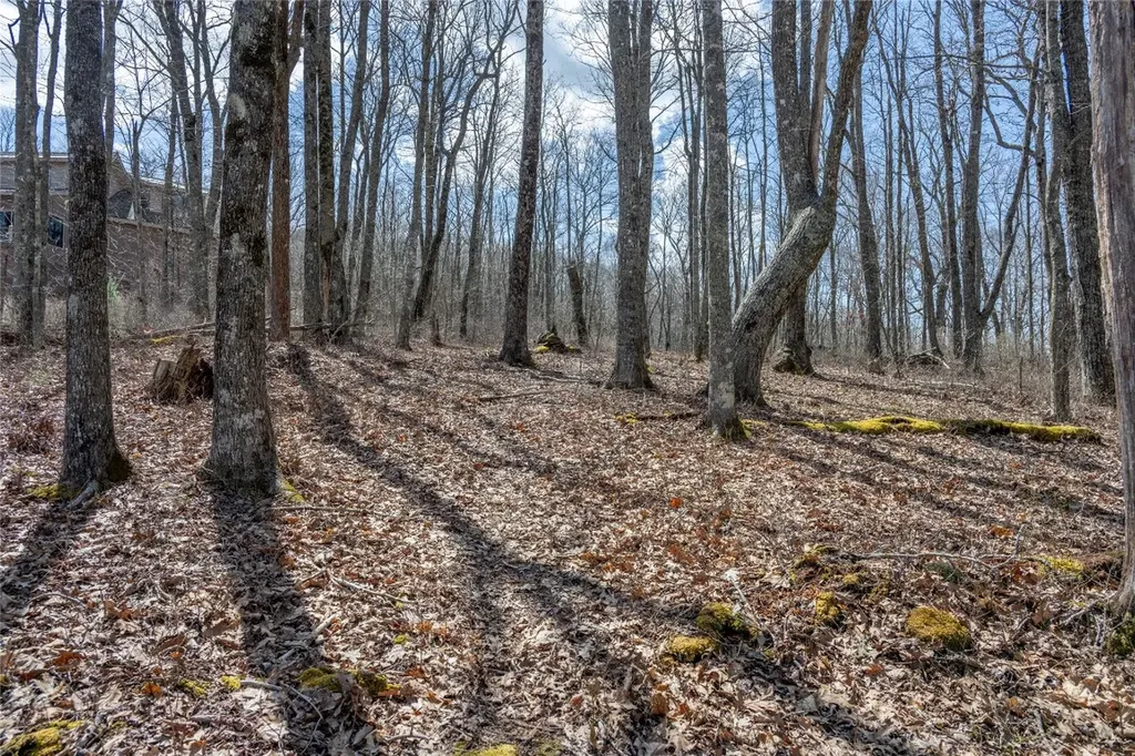 63 New Settler's Way Glenville NC 28736