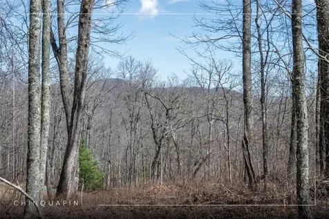 63 New Settler's Way Glenville NC 28736