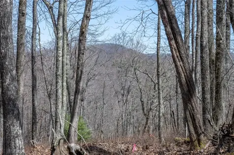 63 New Settler's Way Glenville NC 28736