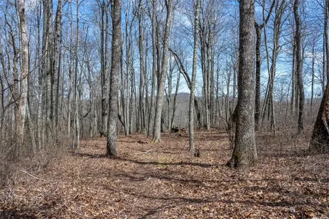 63 New Settler's Way Glenville NC 28736