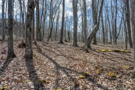 63 New Settler's Way Glenville NC 28736