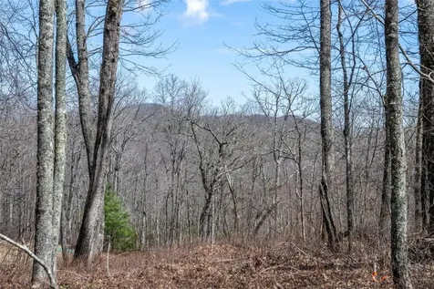 63 New Settler's Way Glenville NC 28736