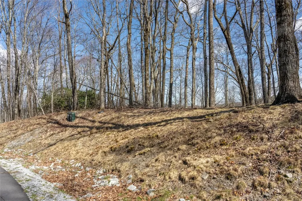 C46 Roaming Road Glenville NC 28736