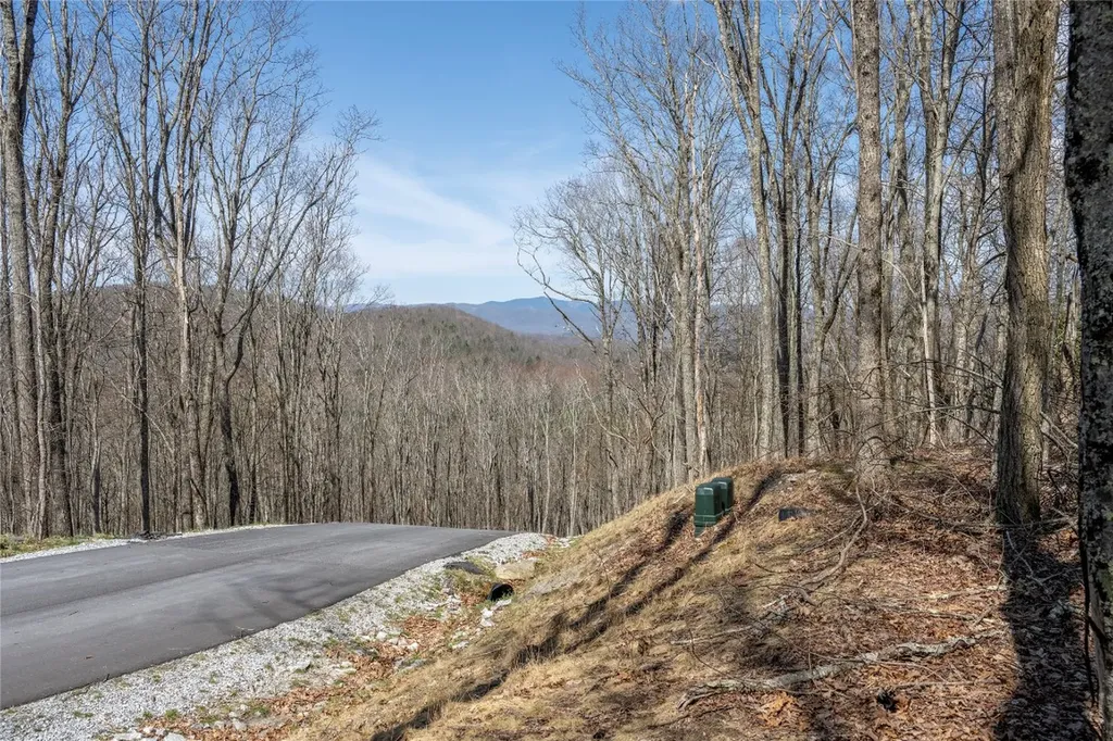 C46 Roaming Road Glenville NC 28736