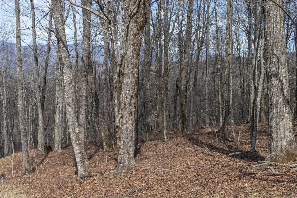 C46 Roaming Road Glenville NC 28736