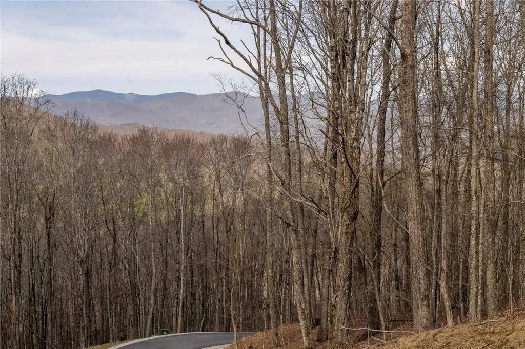 C46 Roaming Road Glenville NC 28736